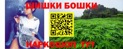 jwh Будённовск