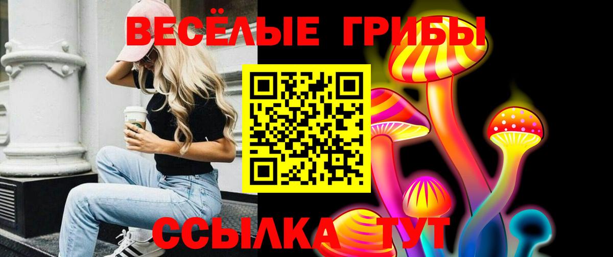 Химки  Псилоцибиновые грибы Magic Shrooms  Вход с VPN 